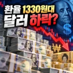 원달러 환율